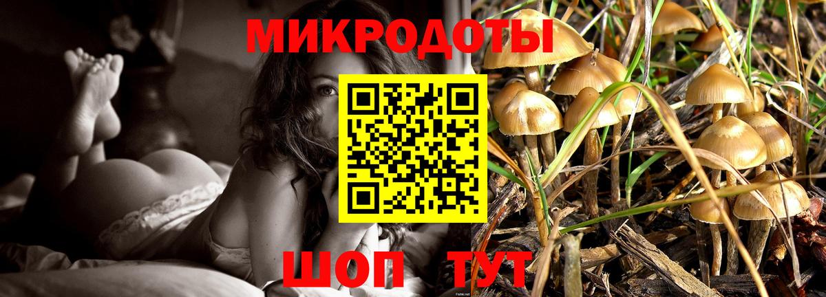 Грязи  Псилоцибиновые грибы Psilocybine cubensis  дарнет шоп  Псилоцибиновые грибы ЛСД  Вход с VPN 